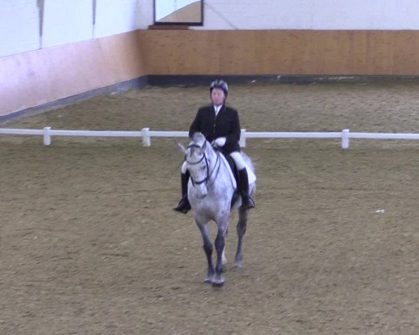 Reitturnier Datteln 2022