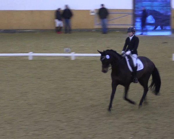 Reitturnier Datteln 2022