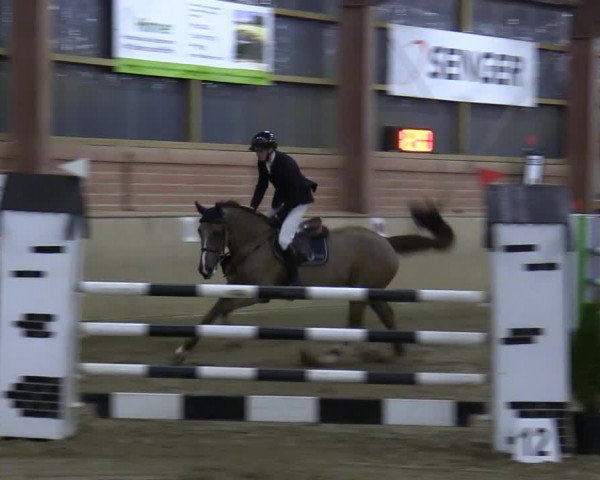 Reitturnier Ostenfelde-Vornholz 2022