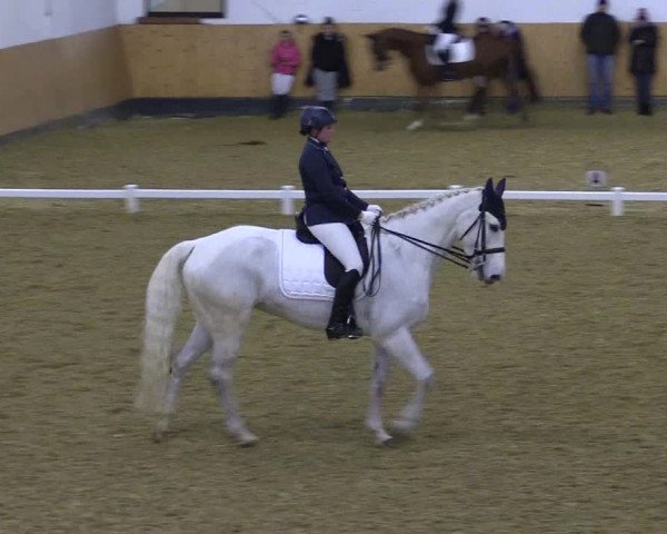 Reitturnier Datteln 2022