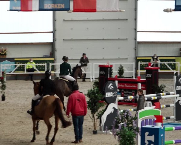 Springturnier Borken 2022