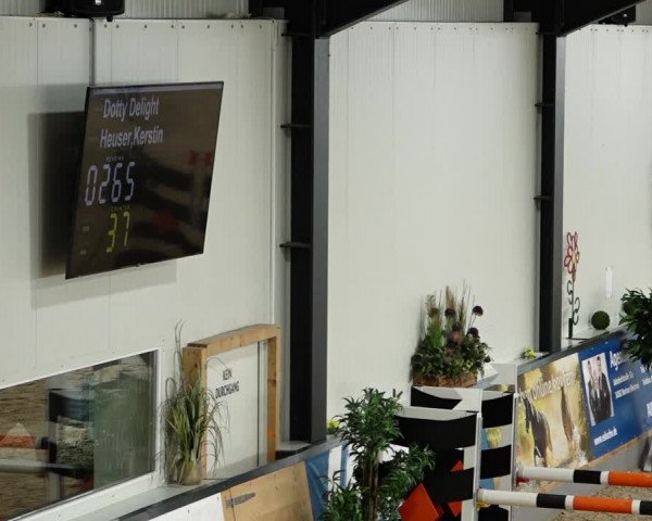 Springturnier Borken 2022