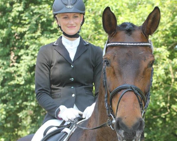 dressage horse Frodo 53 (Westphalian, 2003, from Fiano)