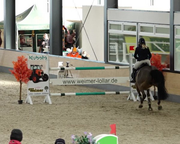 Springturnier Borken 2022