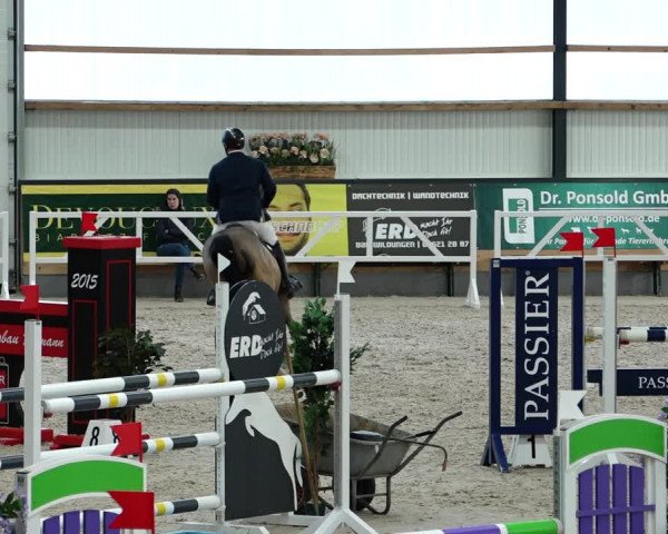 Springturnier Borken 2022