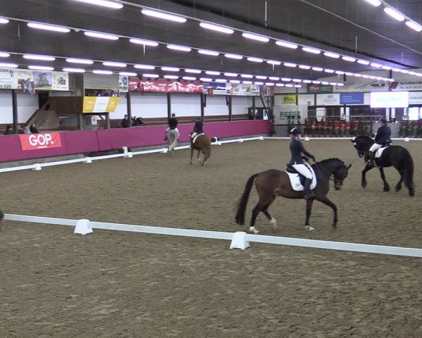 Bismarck Indoors Vlotho-Exter 2022