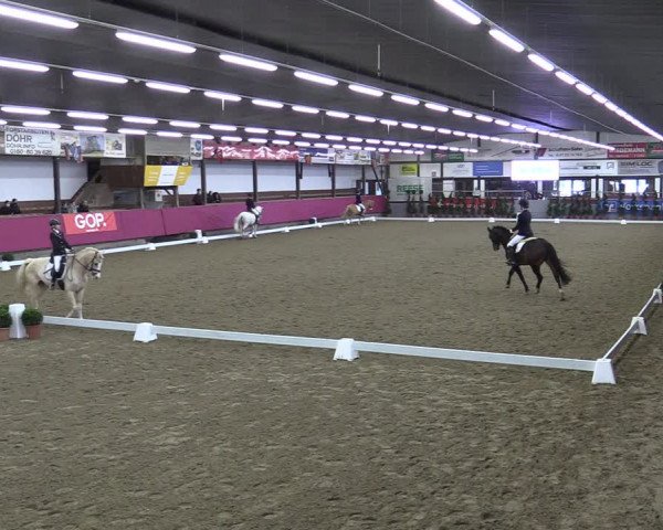 Bismarck Indoors Vlotho-Exter 2022
