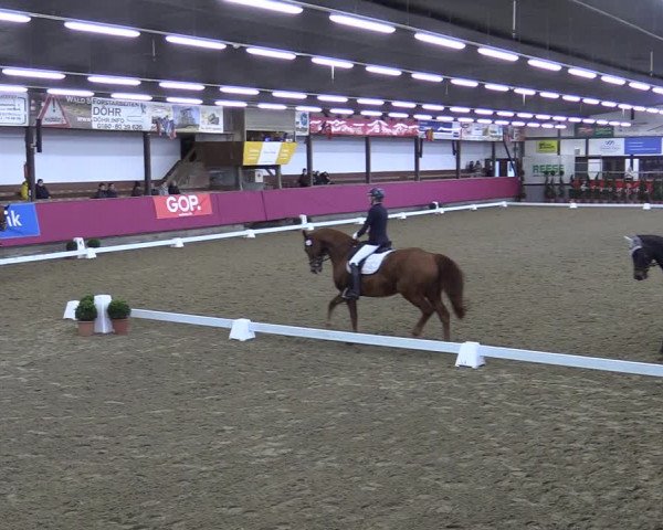 Bismarck Indoors Vlotho-Exter 2022