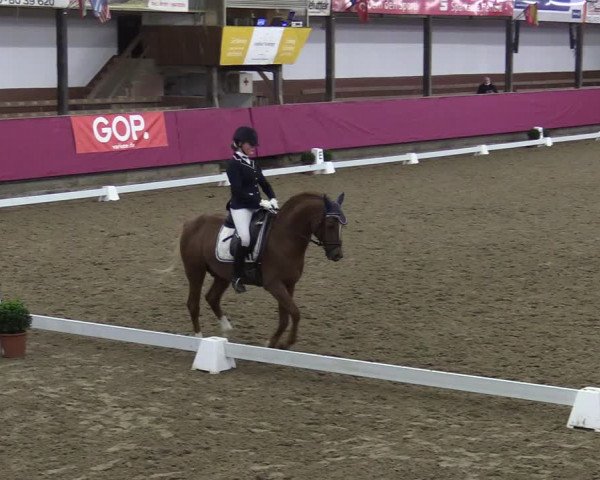 Bismarck Indoors Vlotho-Exter 2022