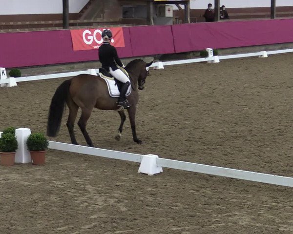 Bismarck Indoors Vlotho-Exter 2022