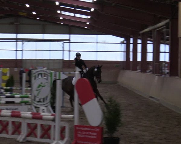 Reitturnier Ostenfelde-Vornholz 2022