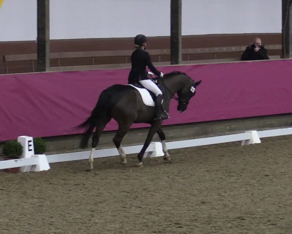 Bismarck Indoors Vlotho-Exter 2022