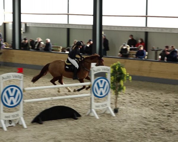 Springturnier Borken 2022