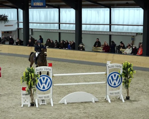 Springturnier Borken 2022
