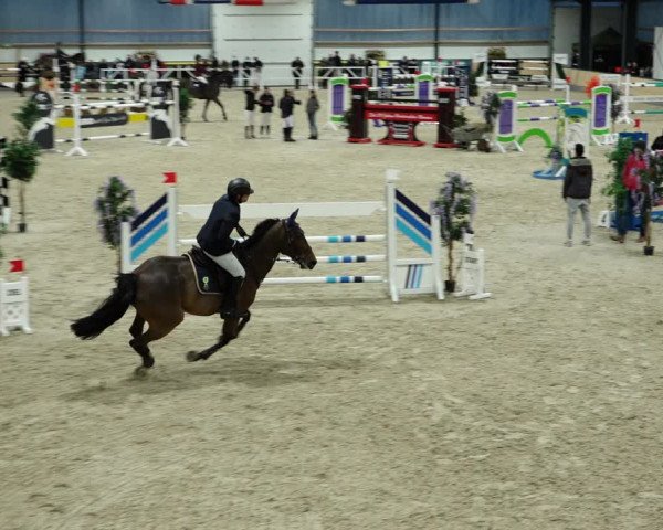 Springturnier Borken 2022
