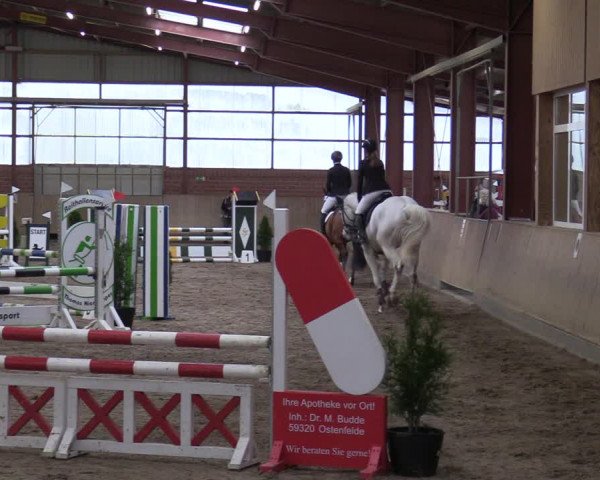 Reitturnier Ostenfelde-Vornholz 2022