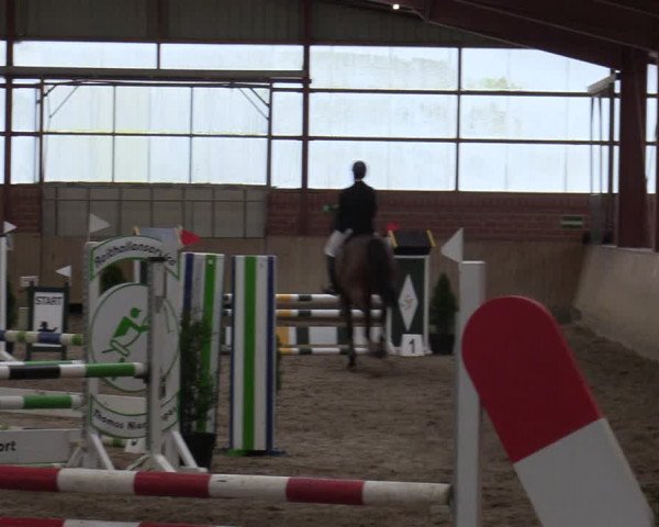 Reitturnier Ostenfelde-Vornholz 2022