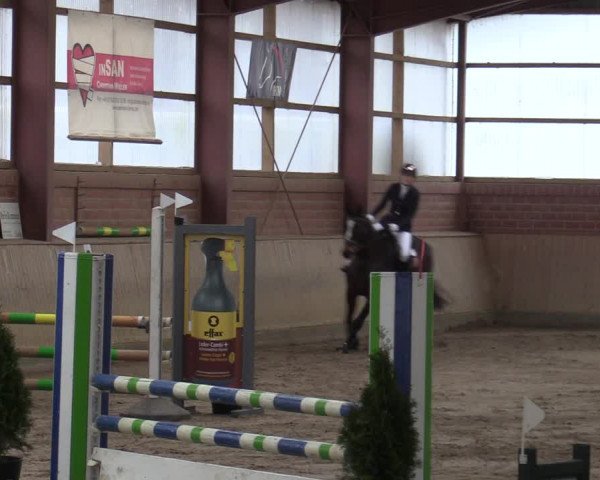 Reitturnier Ostenfelde-Vornholz 2022