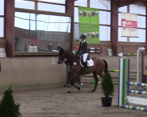 Reitturnier Ostenfelde-Vornholz 2022