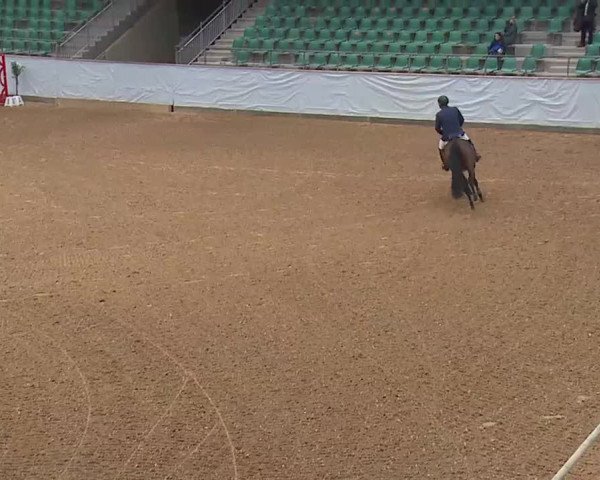 Hallenspringturnier Kreuth 2022