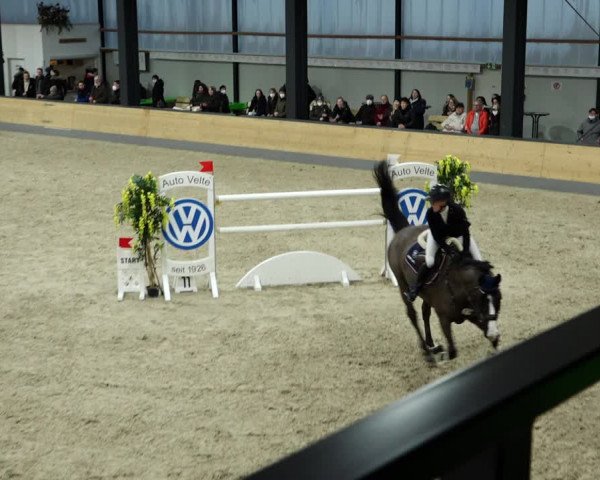 Springturnier Borken 2022