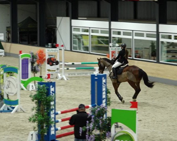 Springturnier Borken 2022