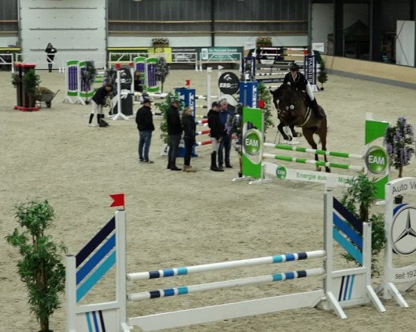 Springturnier Borken 2022