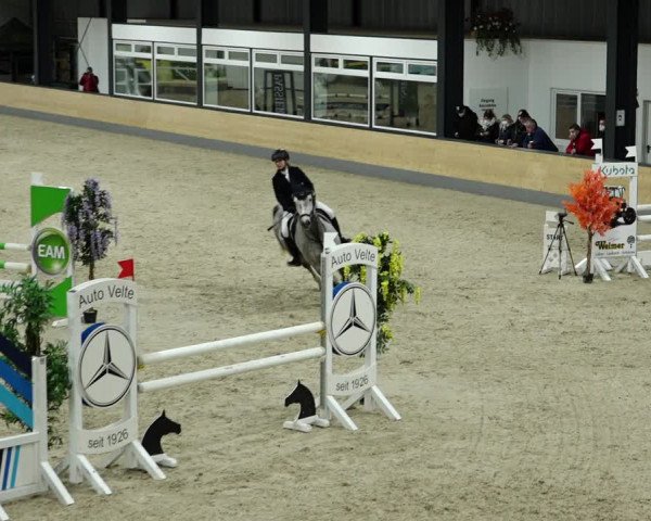 Springturnier Borken 2022