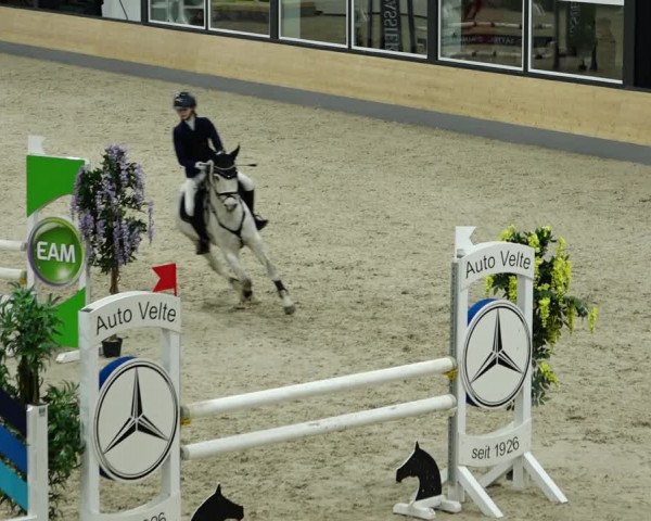 Springturnier Borken 2022