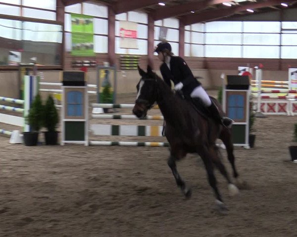 Reitturnier Ostenfelde-Vornholz 2022