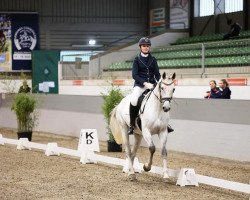 jumper Greycy 2 (Hanoverian, 2016, from Grey Top)