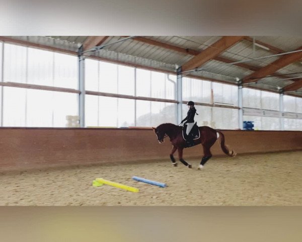 Video von Angie