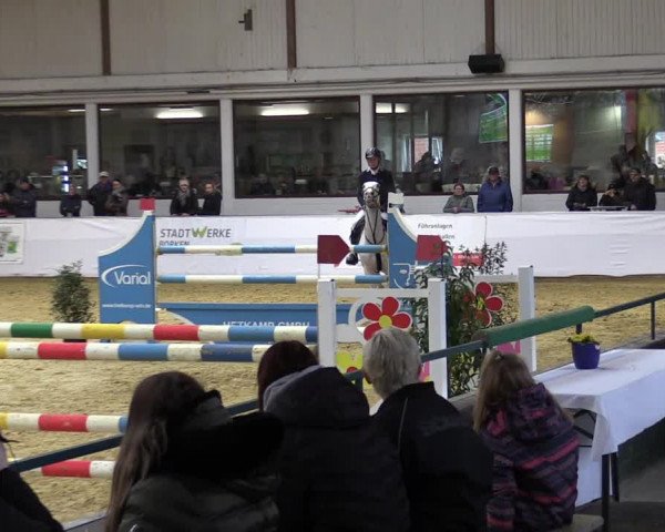 Springturnier Borken 2022