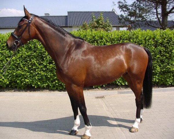 Pferd Ehrensache 3 (Rheinländer, 2002, von Ehrentusch)