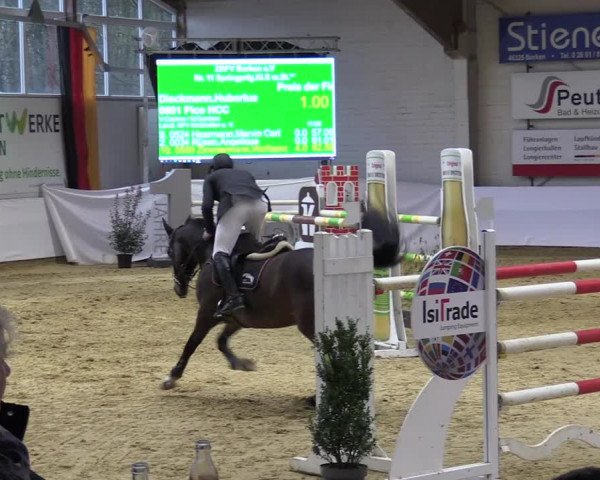 Springturnier Borken 2022