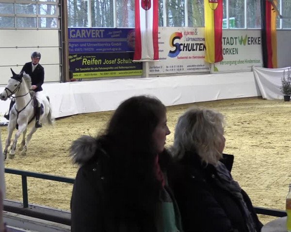 Springturnier Borken 2022