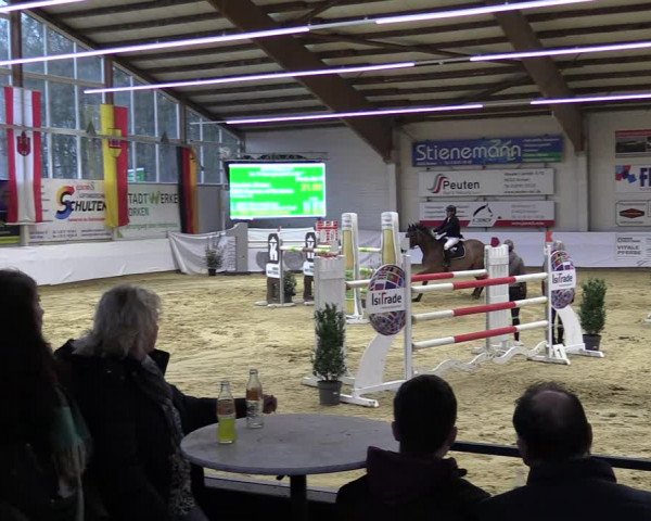 Springturnier Borken 2022
