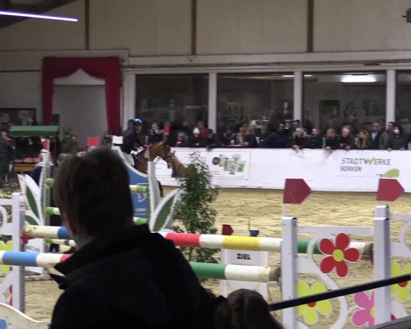 Springturnier Borken 2022