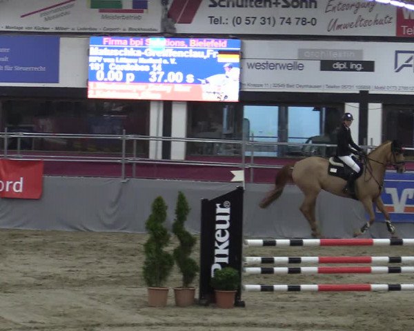 Bismarck Indoors Vlotho-Exter 2022