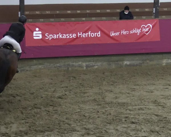 Bismarck Indoors Vlotho-Exter 2022
