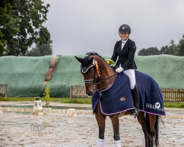 dressage horse Be Happy 64 (Oldenburg, 2013, from Bon Bravour)