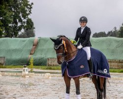 dressage horse Be Happy 64 (Oldenburg, 2013, from Bon Bravour)
