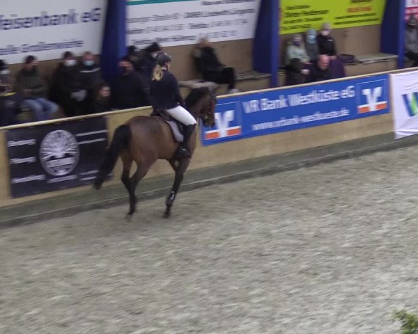 Springturnier Großenwiehe 2022