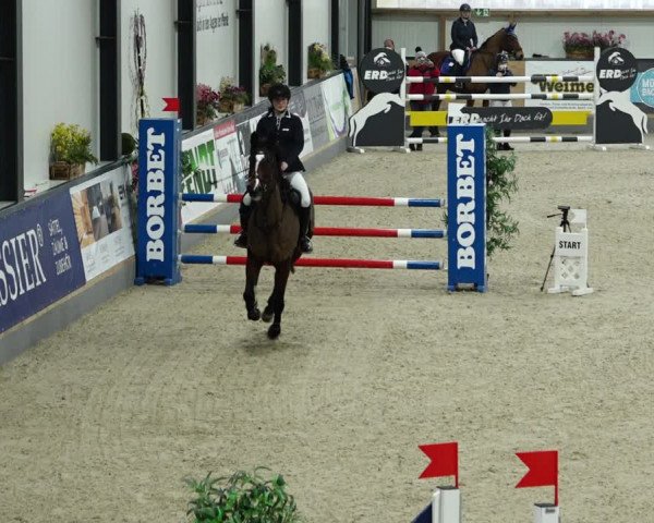 Springturnier Borken 2022