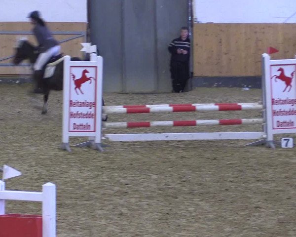 Reitturnier Datteln 2022