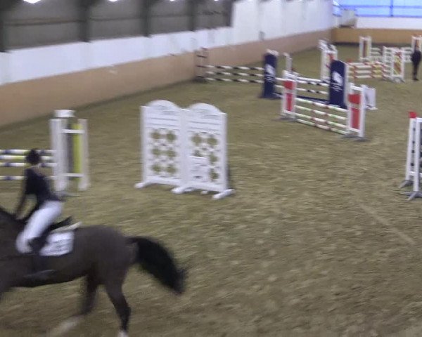 Reitturnier Datteln 2022