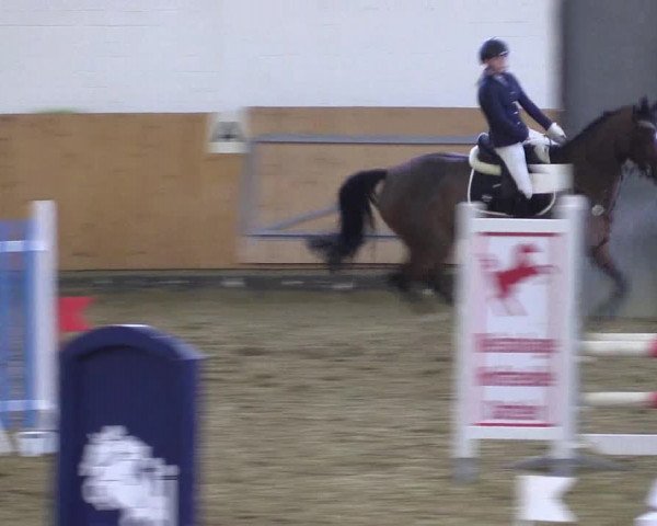 Reitturnier Datteln 2022