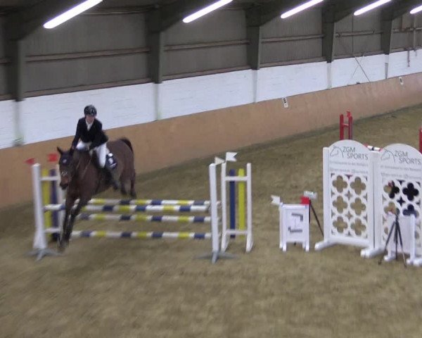 Reitturnier Datteln 2022