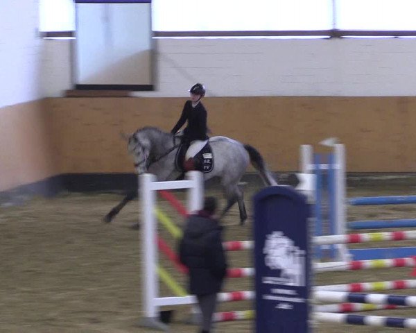 Reitturnier Datteln 2022