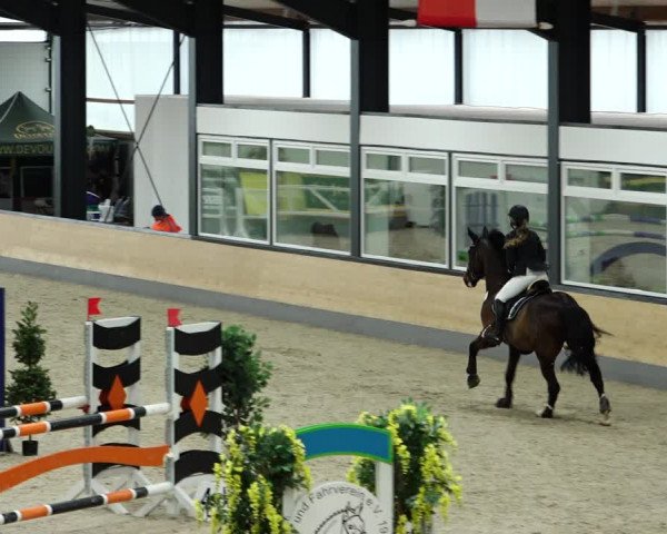 Springturnier Borken 2022